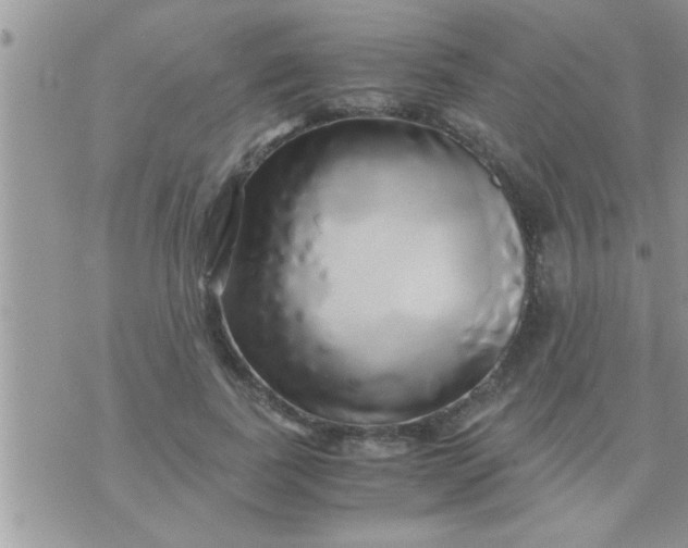 X0000071380739200607142110