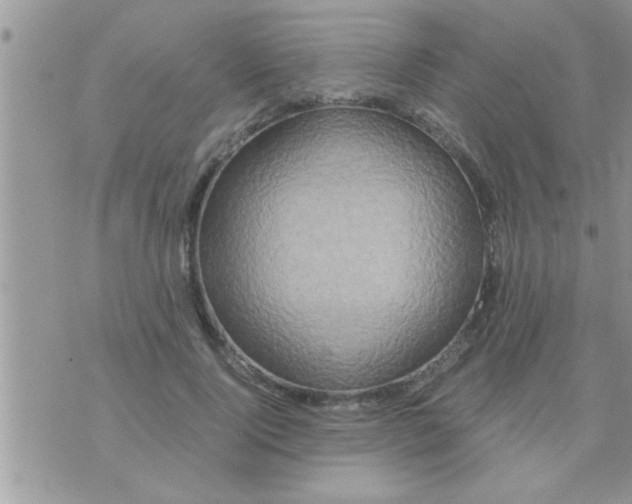 X0000071380740200607142110