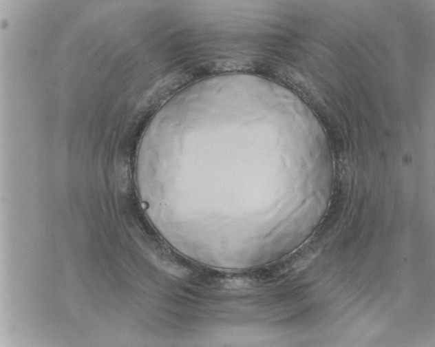 X0000071380741200607142110