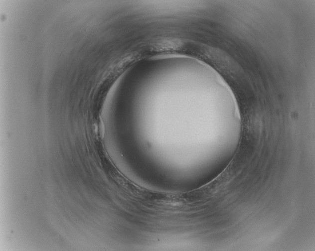 X0000071380743200607142110