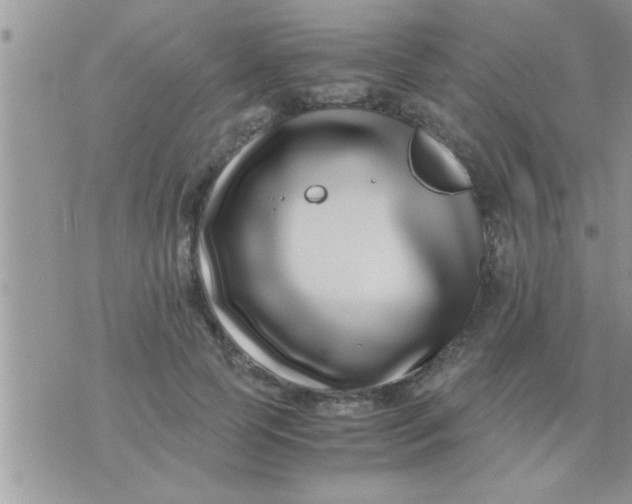 X0000071380745200607142110