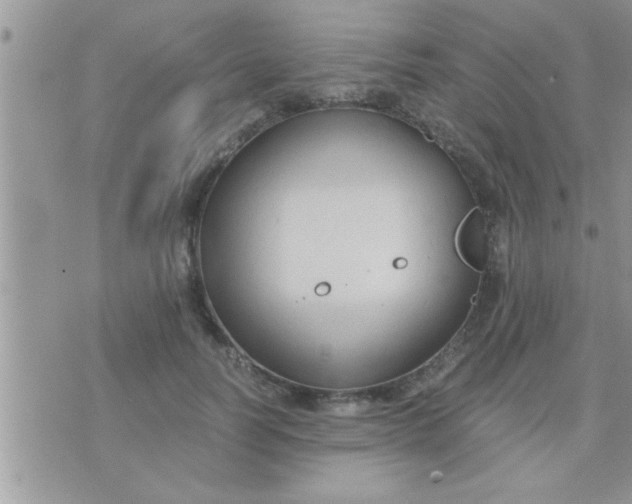 X0000071380746200607142110