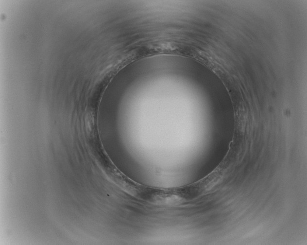 X0000071380747200607142110