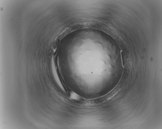 X0000071380750200607142110