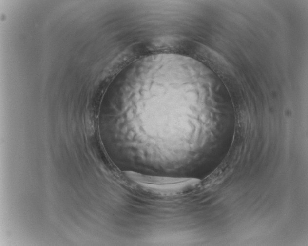 X0000071380751200607142110