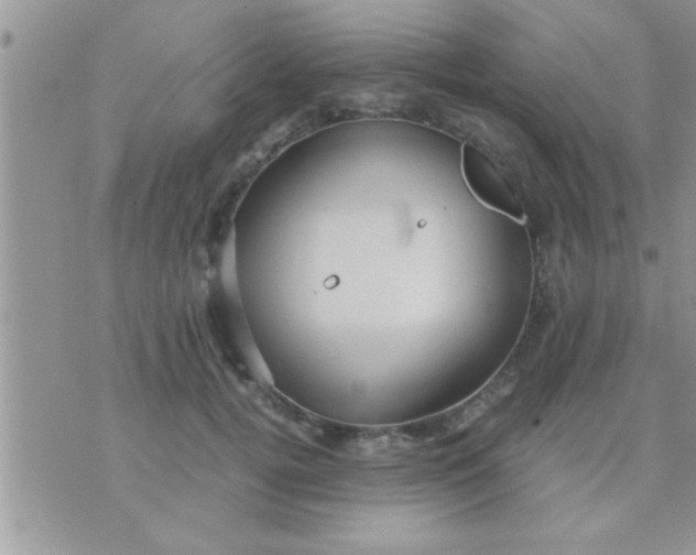 X0000071380752200607142110