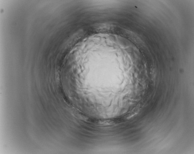 X0000071380753200607142110