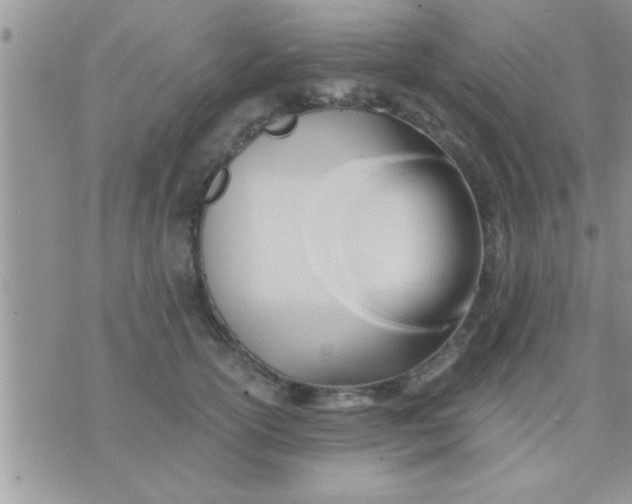 X0000071380754200607142110