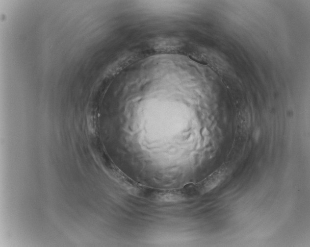 X0000071380755200607142110