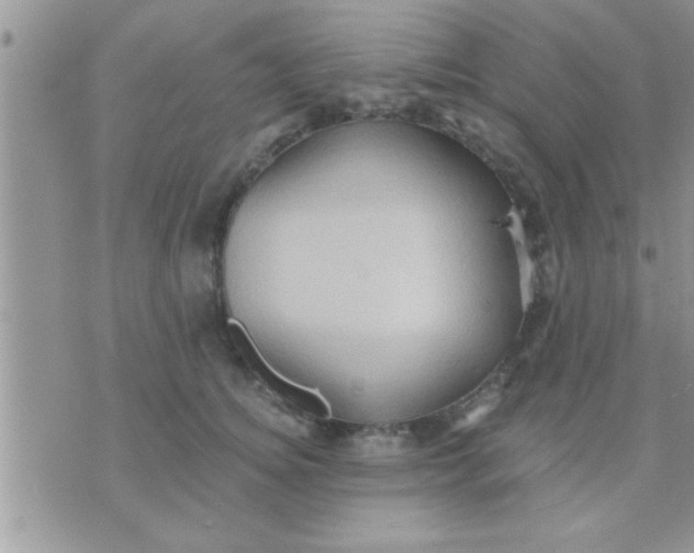 X0000071380756200607142110