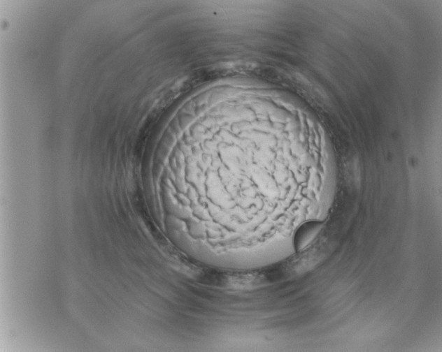 X0000071380757200607142110