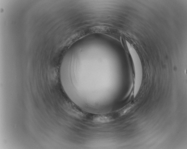 X0000071380759200607142110