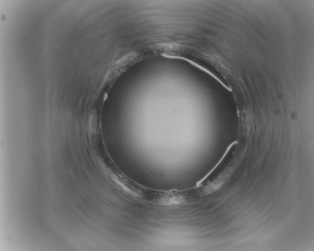 X0000071380760200607142110