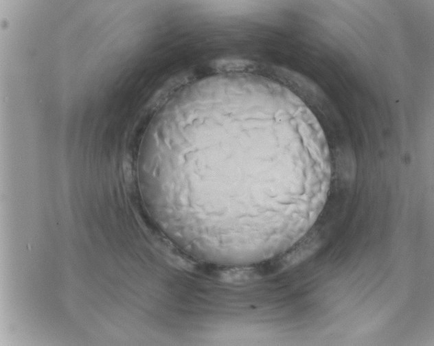 X0000071380761200607142110