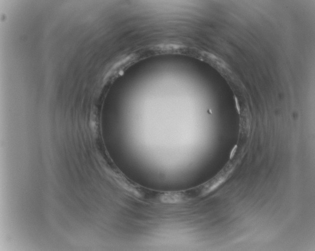 X0000071380762200607142110