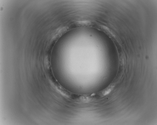 X0000071380764200607142110