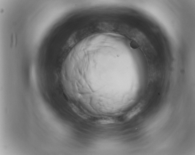 X0000071380765200607142110