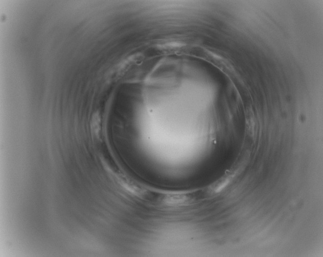 X0000071380767200607142110