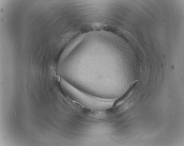 X0000071380768200607142110