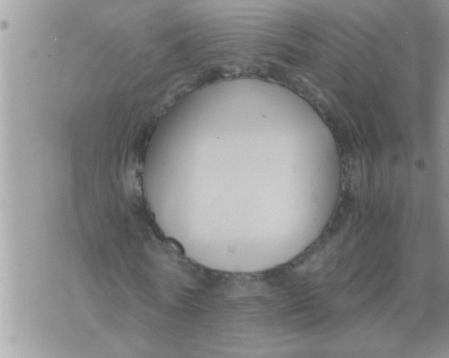 X0000071380770200607142109