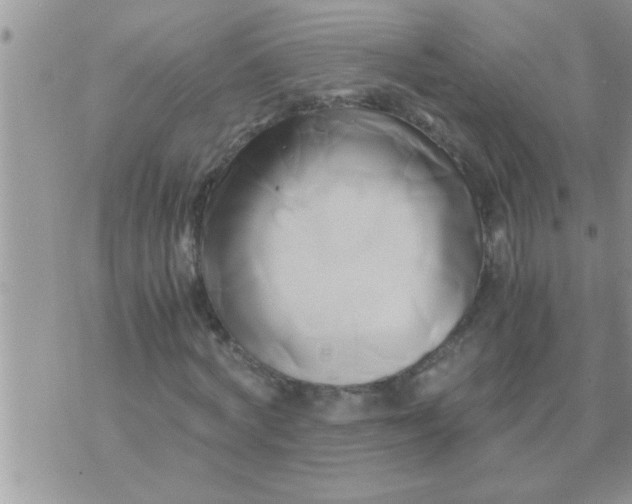 X0000071380772200607142109