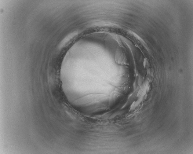 X0000071380775200607142109