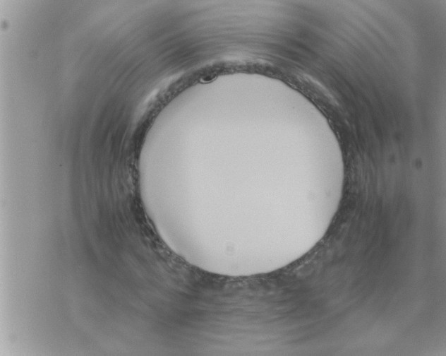 X0000071380776200607142109