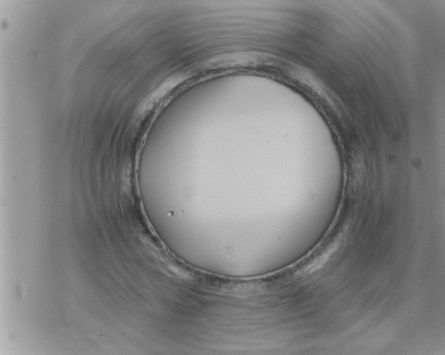 X0000071380778200607142109