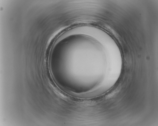 X0000071380779200607142109