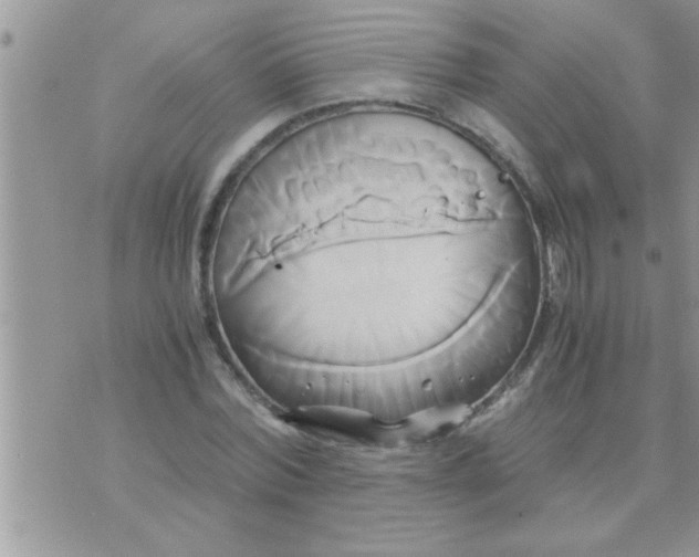 X0000071380780200607142109