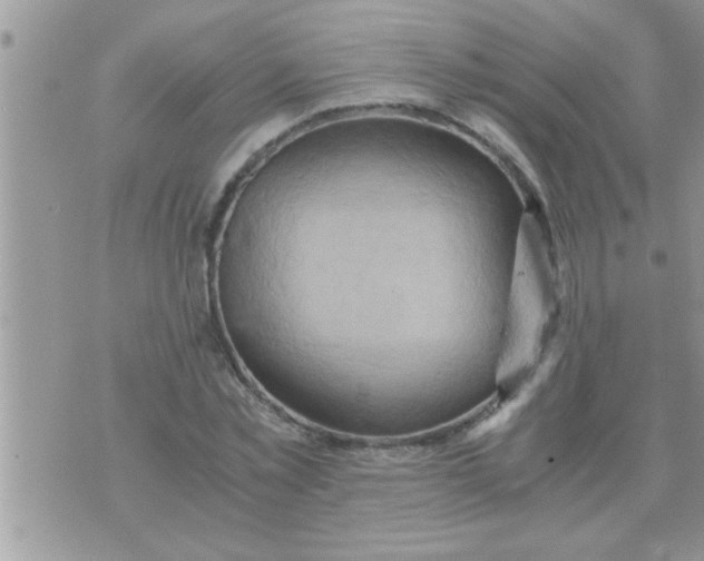 X0000071380781200607142109