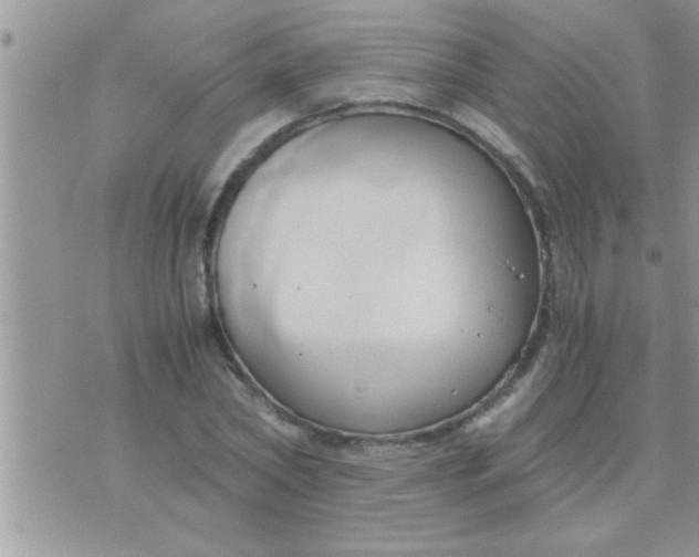 X0000071380782200607142109