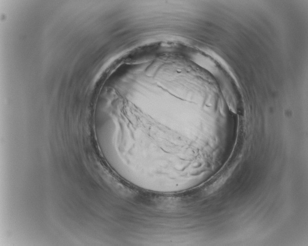 X0000071380783200607142109