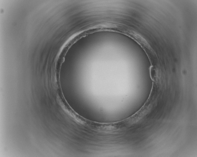 X0000071380784200607142109