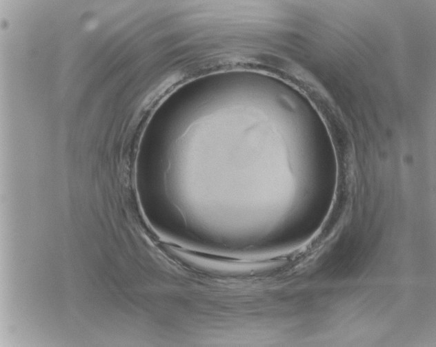 X0000071380785200607142109