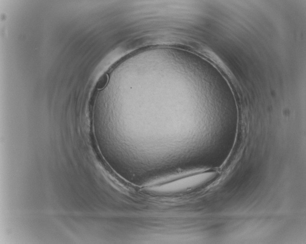 X0000071380787200607142109