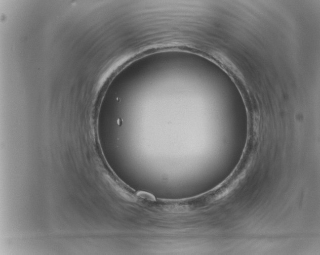 X0000071380789200607142109