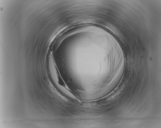 X0000071380790200607142109