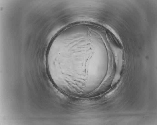 X0000071380791200607142109