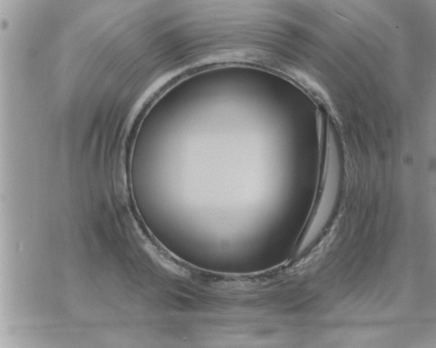 X0000071380792200607142109