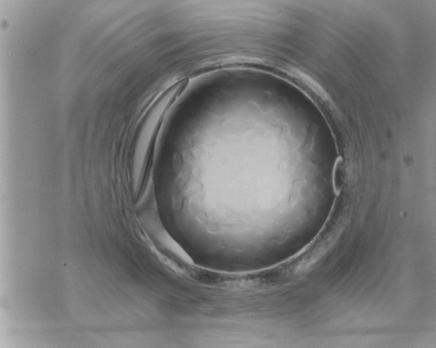 X0000071380793200607142109