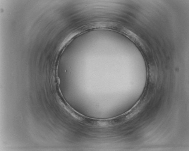 X0000071380794200607142109