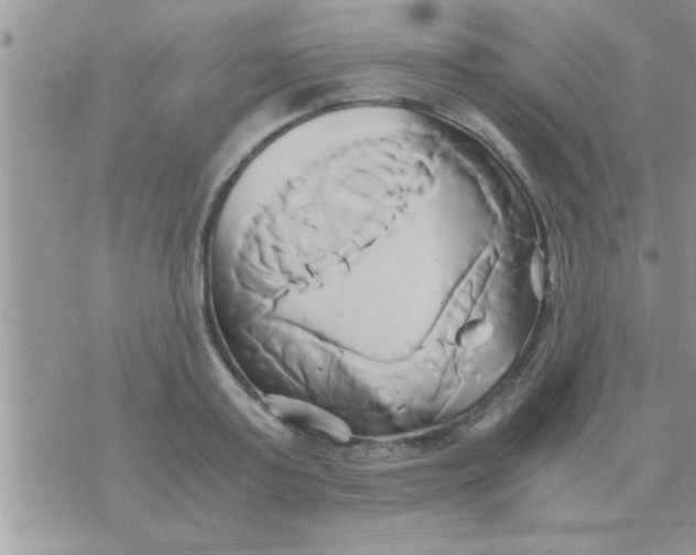 X0000071380795200607142109