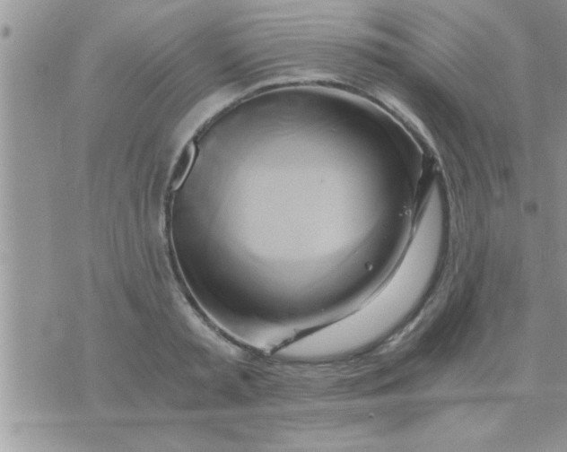 X0000071380797200607142109