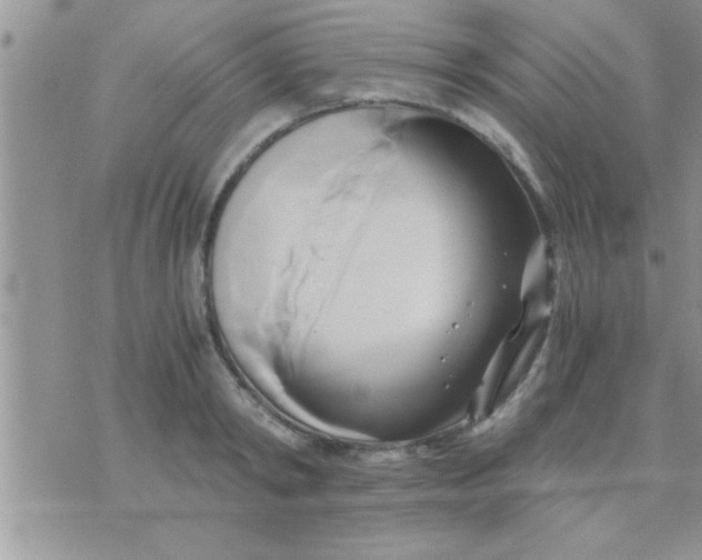 X0000071380798200607142109