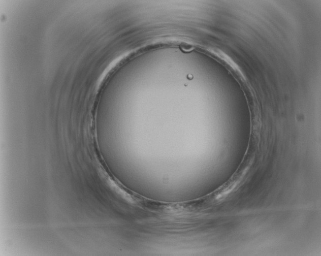 X0000071380799200607142109