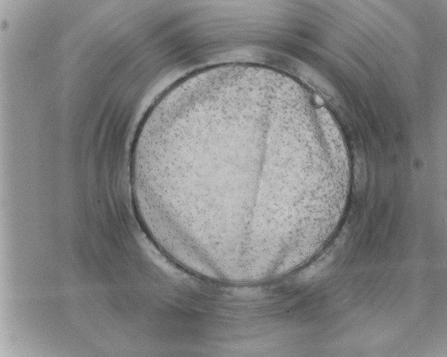 X0000071380800200607142109