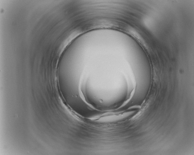 X0000071380802200607142109