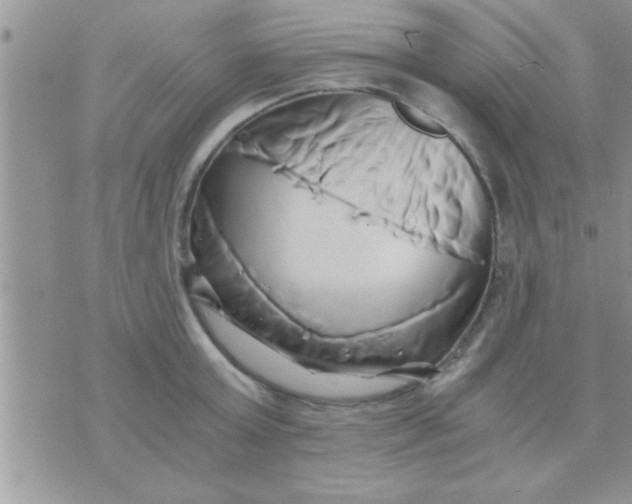 X0000071380803200607142109