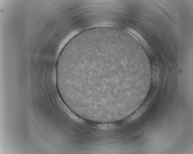 X0000071380804200607142109